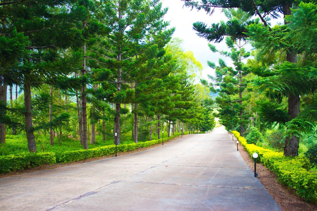 Bird Land Resort Khao Kho Extérieur photo