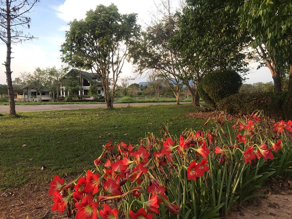 Bird Land Resort Khao Kho Extérieur photo
