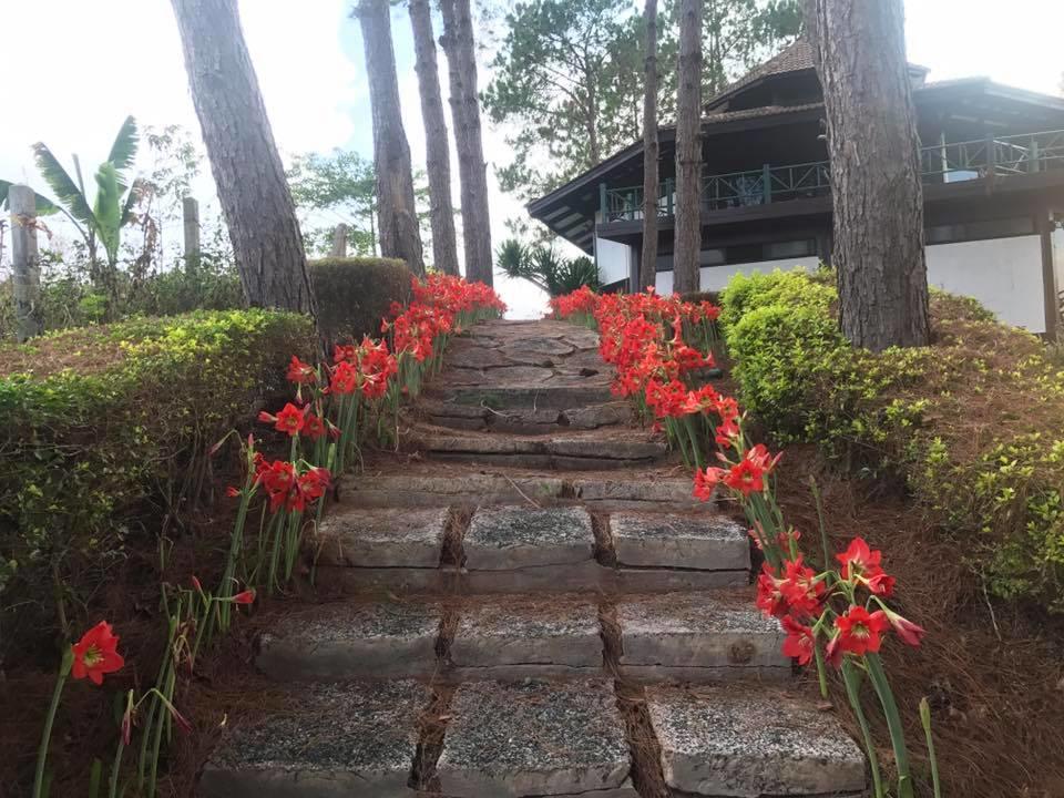 Bird Land Resort Khao Kho Extérieur photo