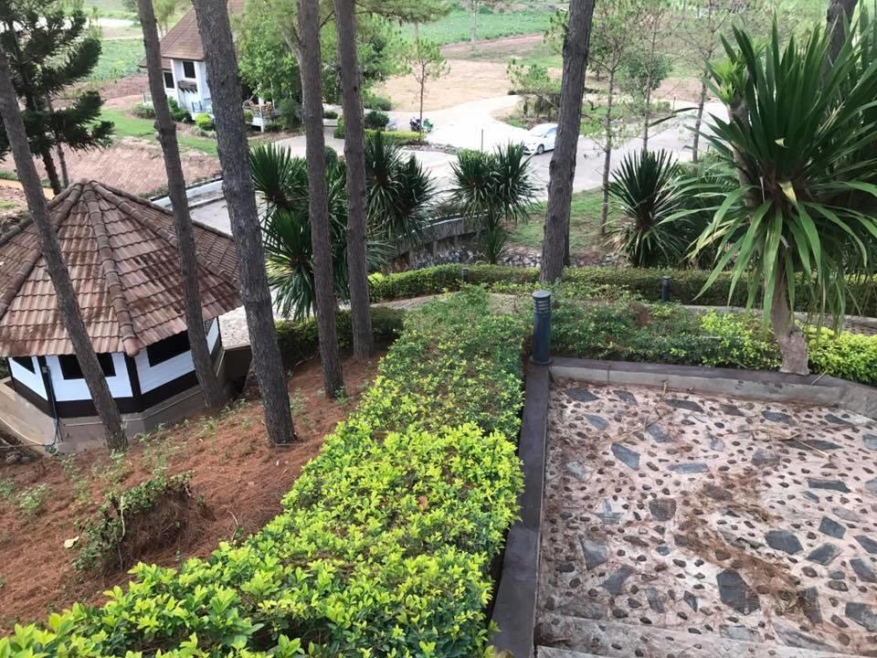 Bird Land Resort Khao Kho Extérieur photo